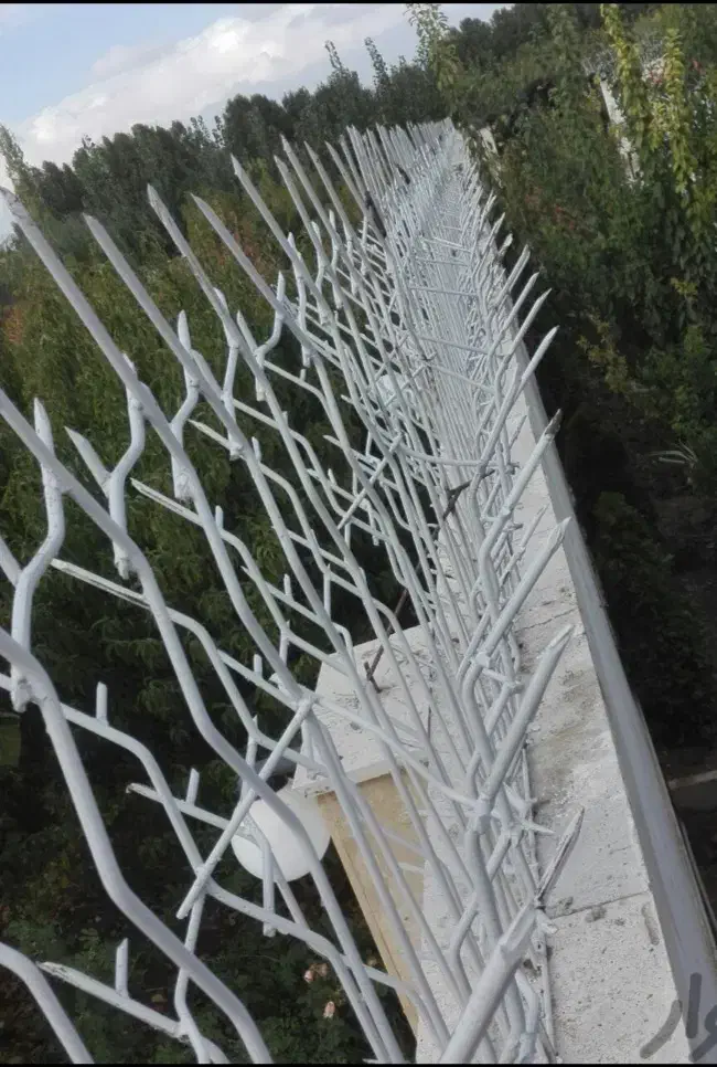 ساخت ونصب شاخ گوزنی|خدمات پیشه و مهارت|محمدیه-قزوین, |دیوار