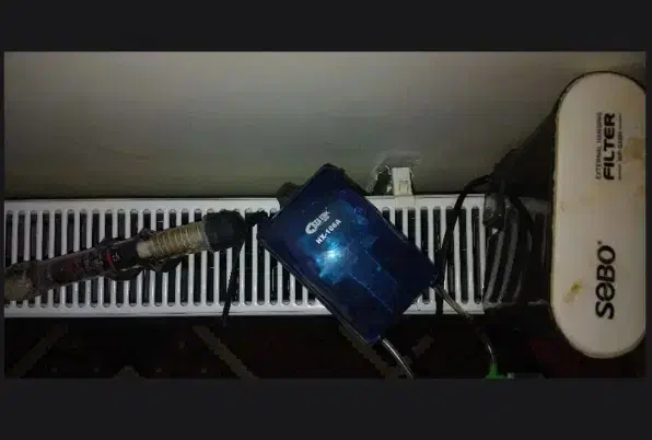 آکواریوم|ماهی|بروجرد, |دیوار