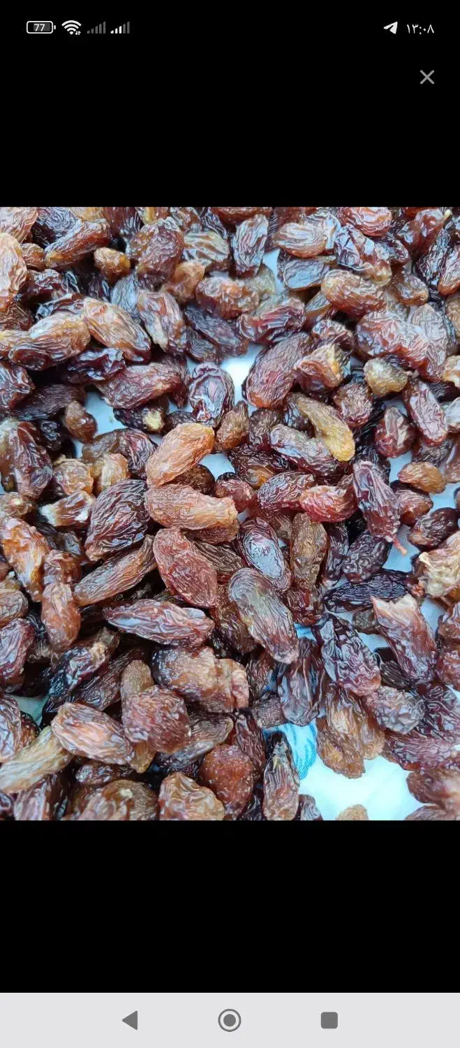 کشمش آفتابی یا گله|خوردنی و آشامیدنی|بردسکن, |دیوار