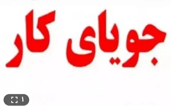 دنبال کارهستم|فعالیت داوطلبانه تحقیقاتی|بیرجند, |دیوار