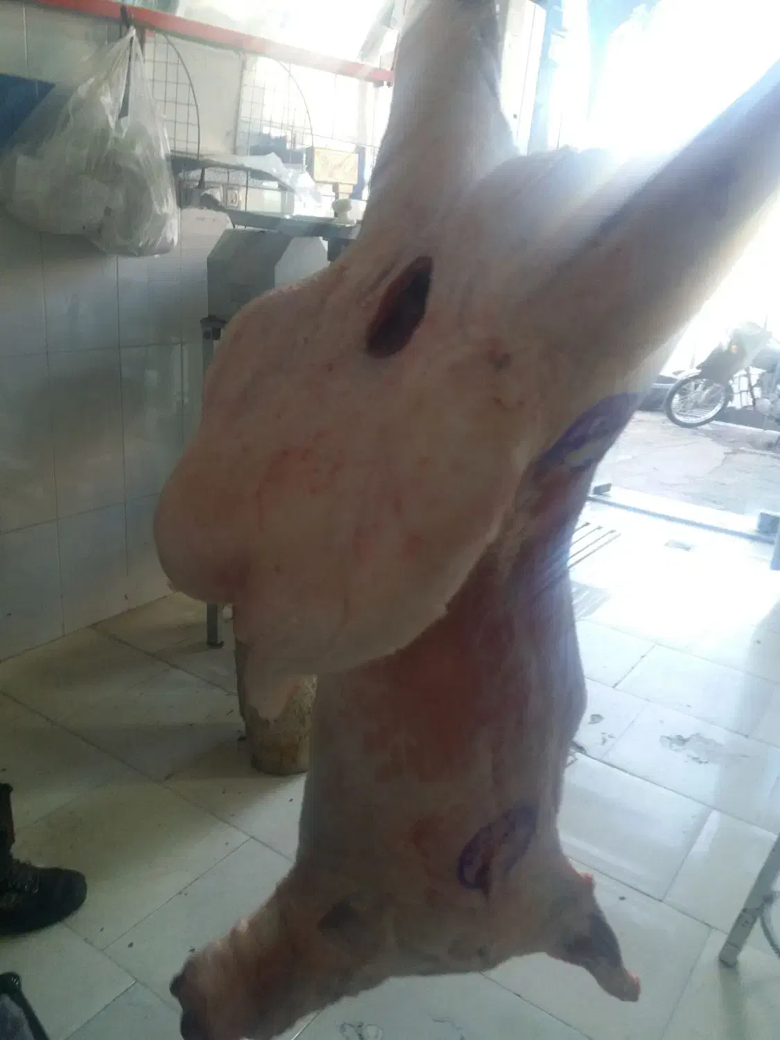 گوشت گوسفند بره نر مهرابی ۷۵۰|خوردنی و آشامیدنی|سبزوار, باهنر|دیوار