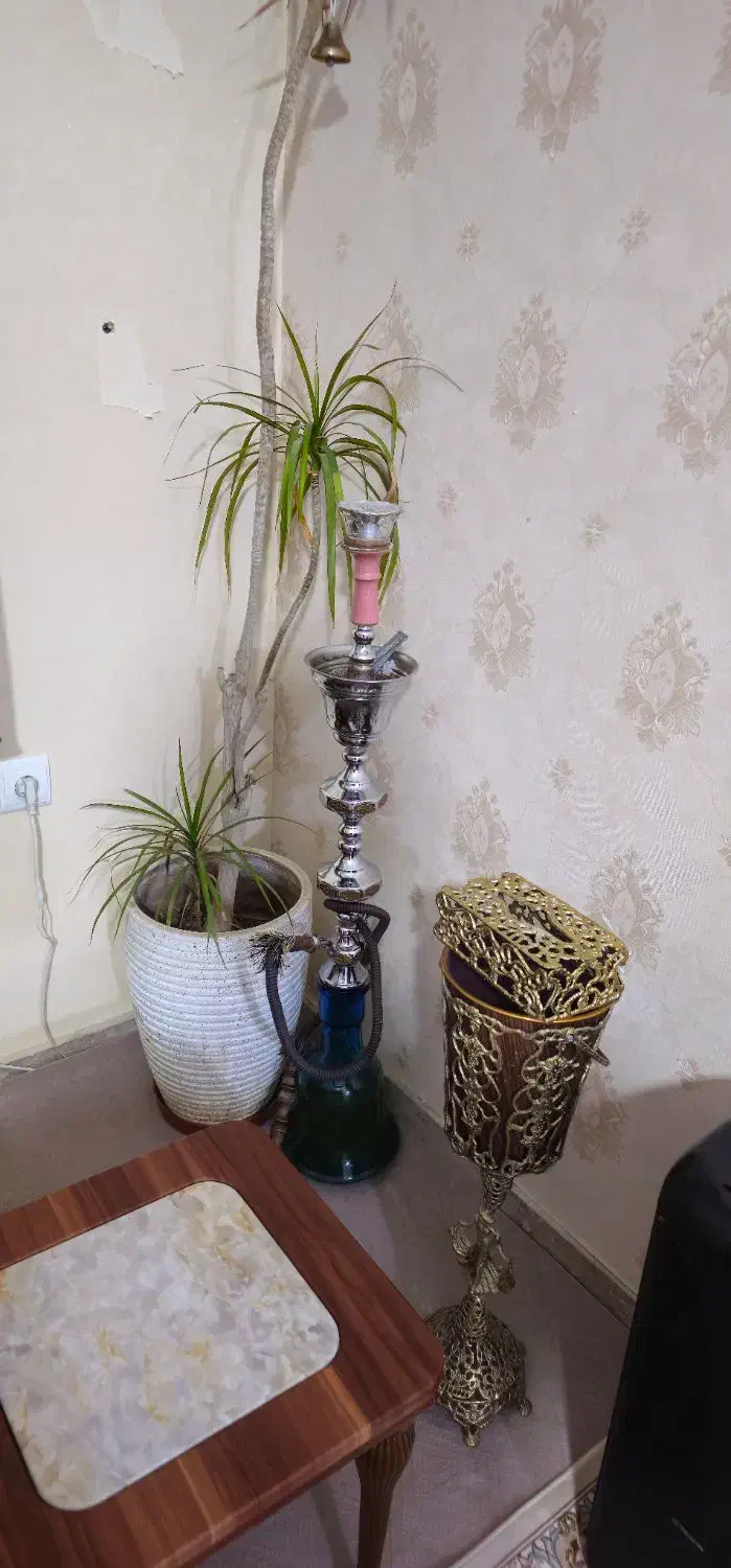 قلیون عربی|کوهنوردی و کمپینگ|ماهدشت, |دیوار