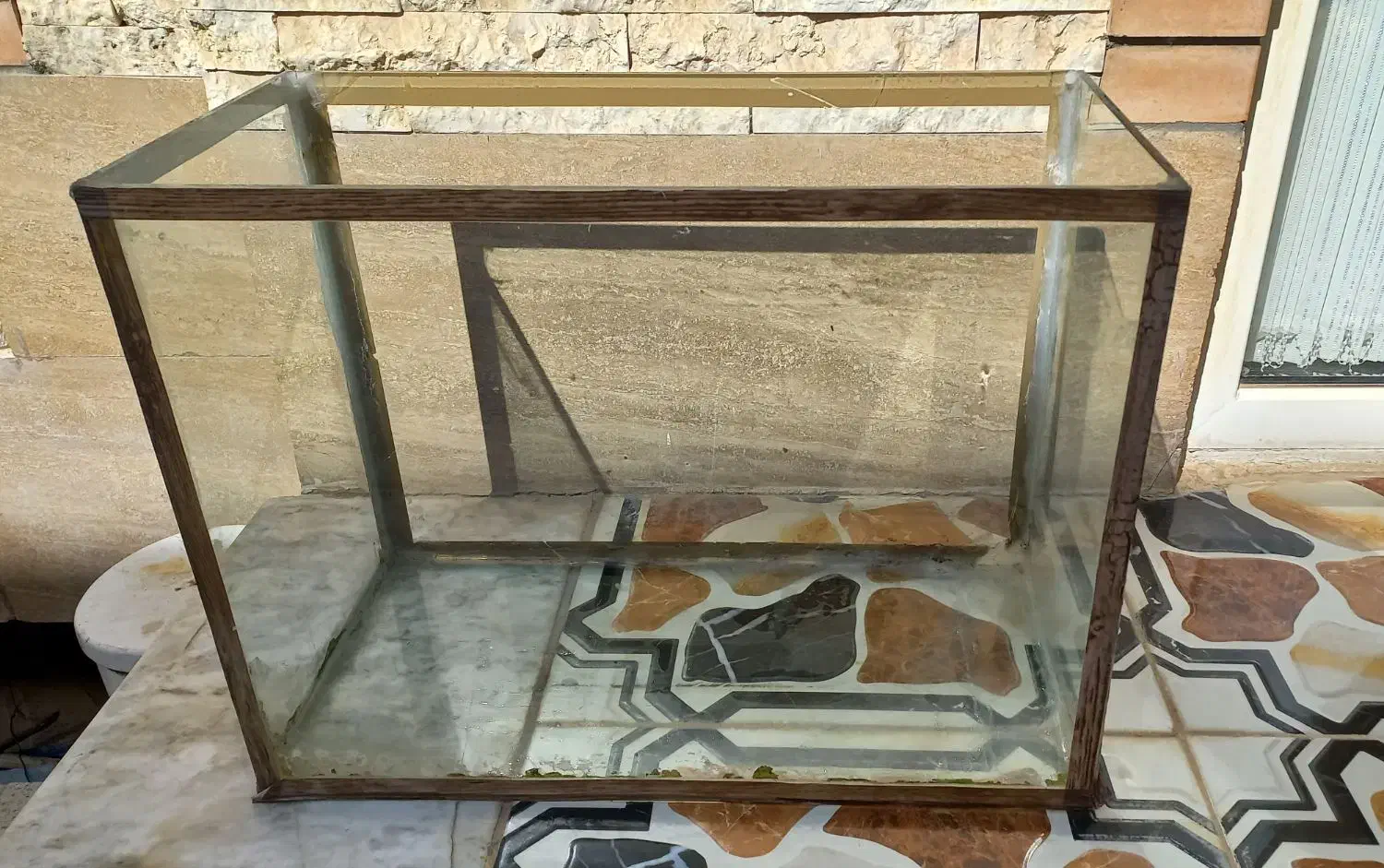 آکواریوم تمیز|ماهی|شهرضا, |دیوار