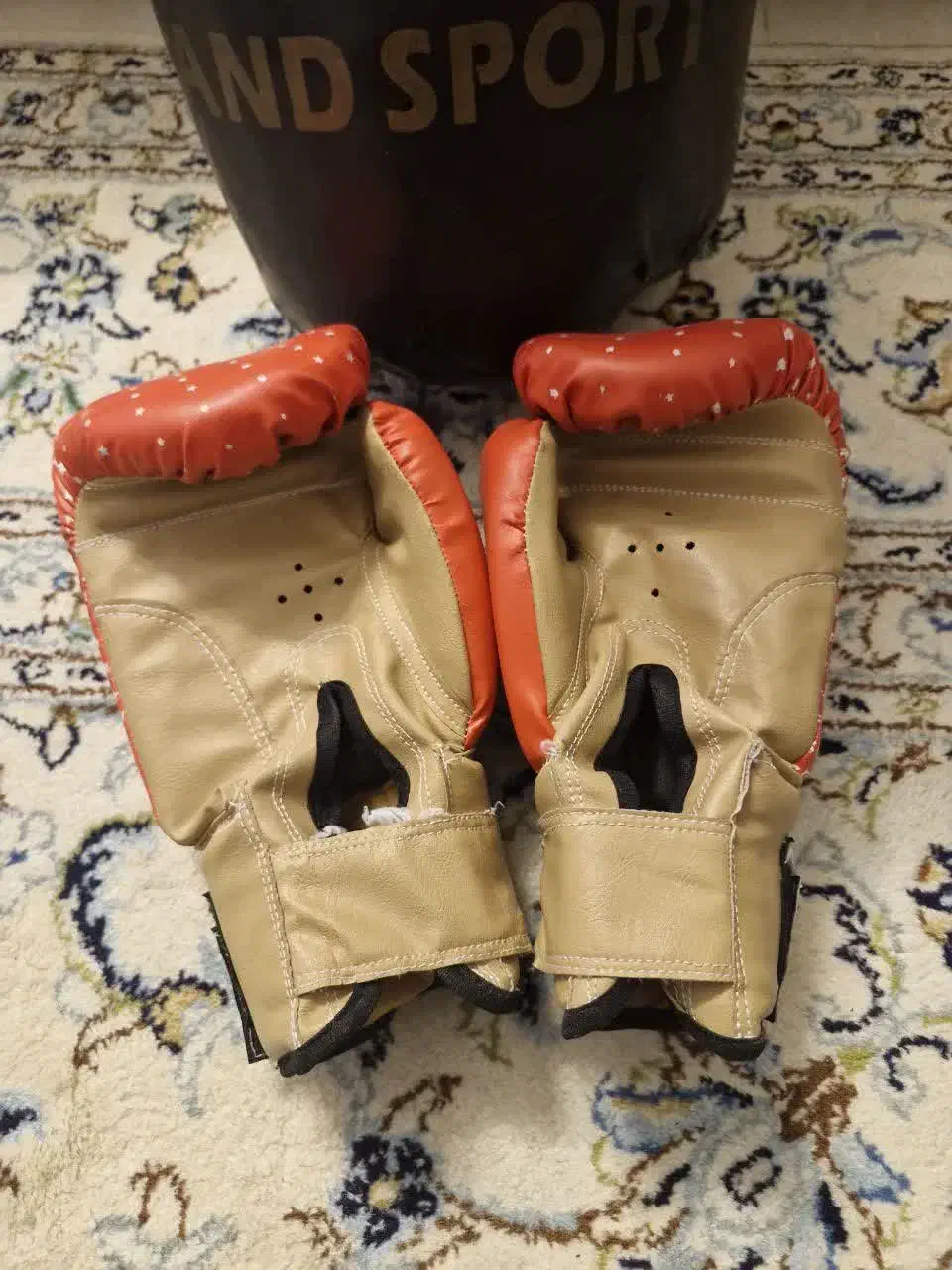 دستکش بوکس|تجهیزات ورزشی|قم, شهرک قدس|دیوار