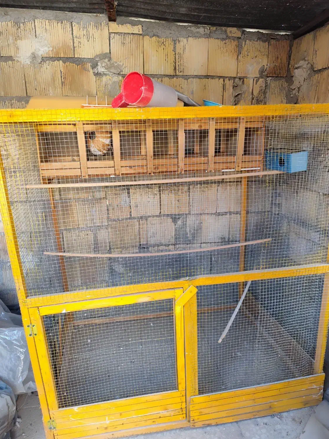 قفس پرنده|لوازم جانبی حیوانات|برازجان, |دیوار