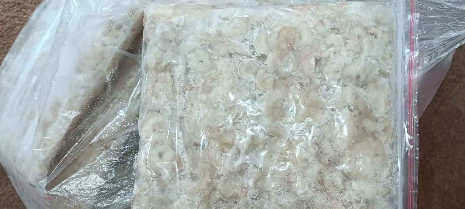 میگو تازه|ماهی|خرمشهر, |دیوار