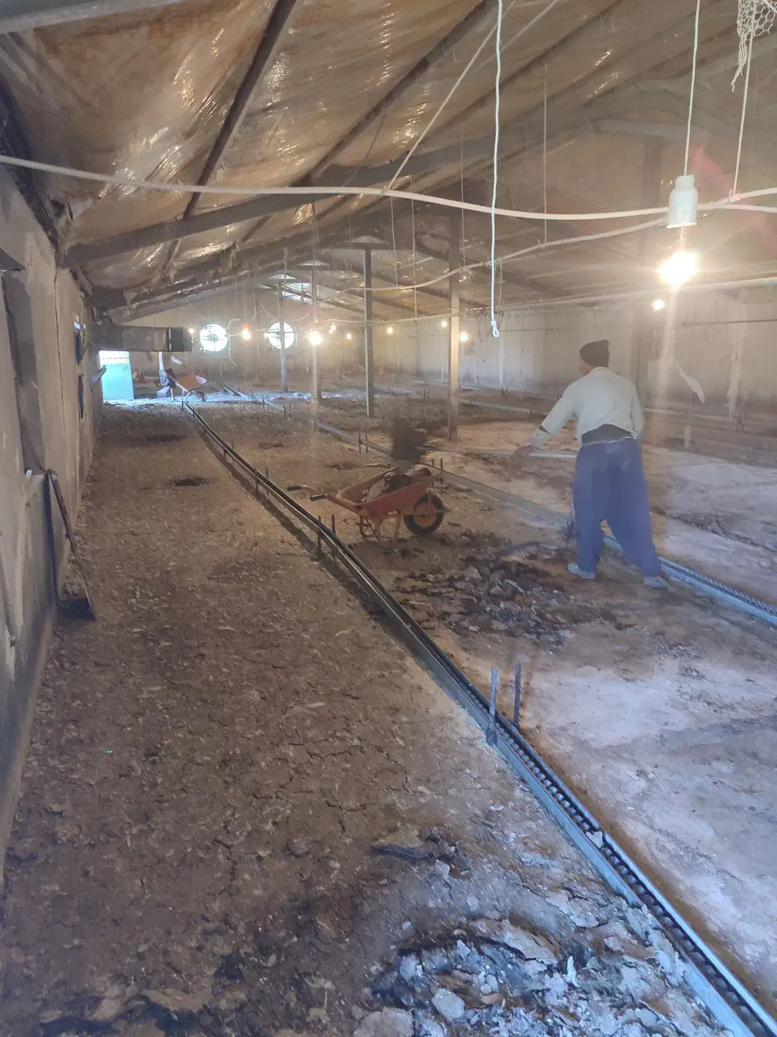 کود مرغی|خدمات باغبانی و درختکاری|کرمانشاه, |دیوار