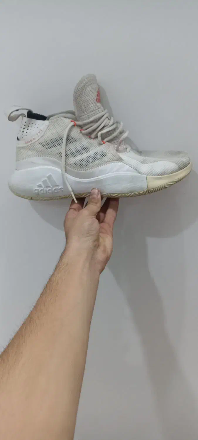 کفش والیبال adidasدرحد نو|کیف، کفش، کمربند|مشهد, کارمندان دوم|دیوار