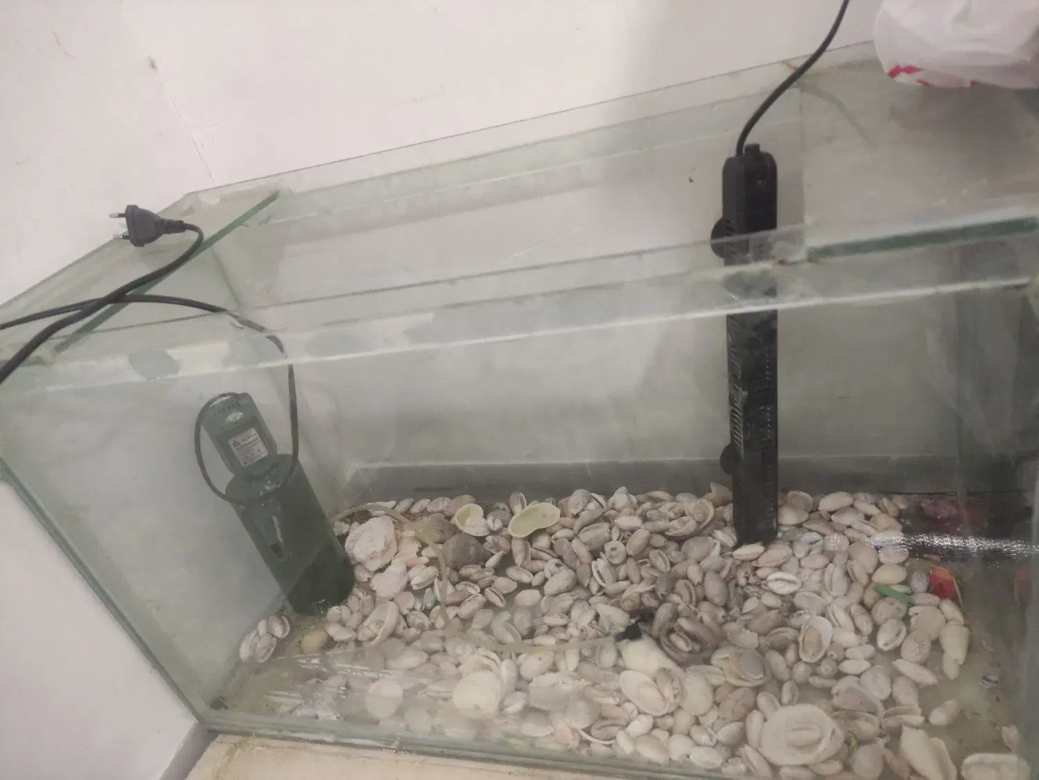 آکواریم|ماهیگیری|فسا, |دیوار