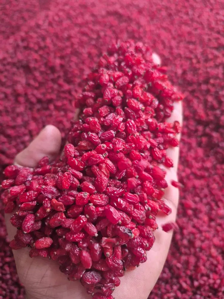 زرشک|خوردنی و آشامیدنی|فریمان, |دیوار