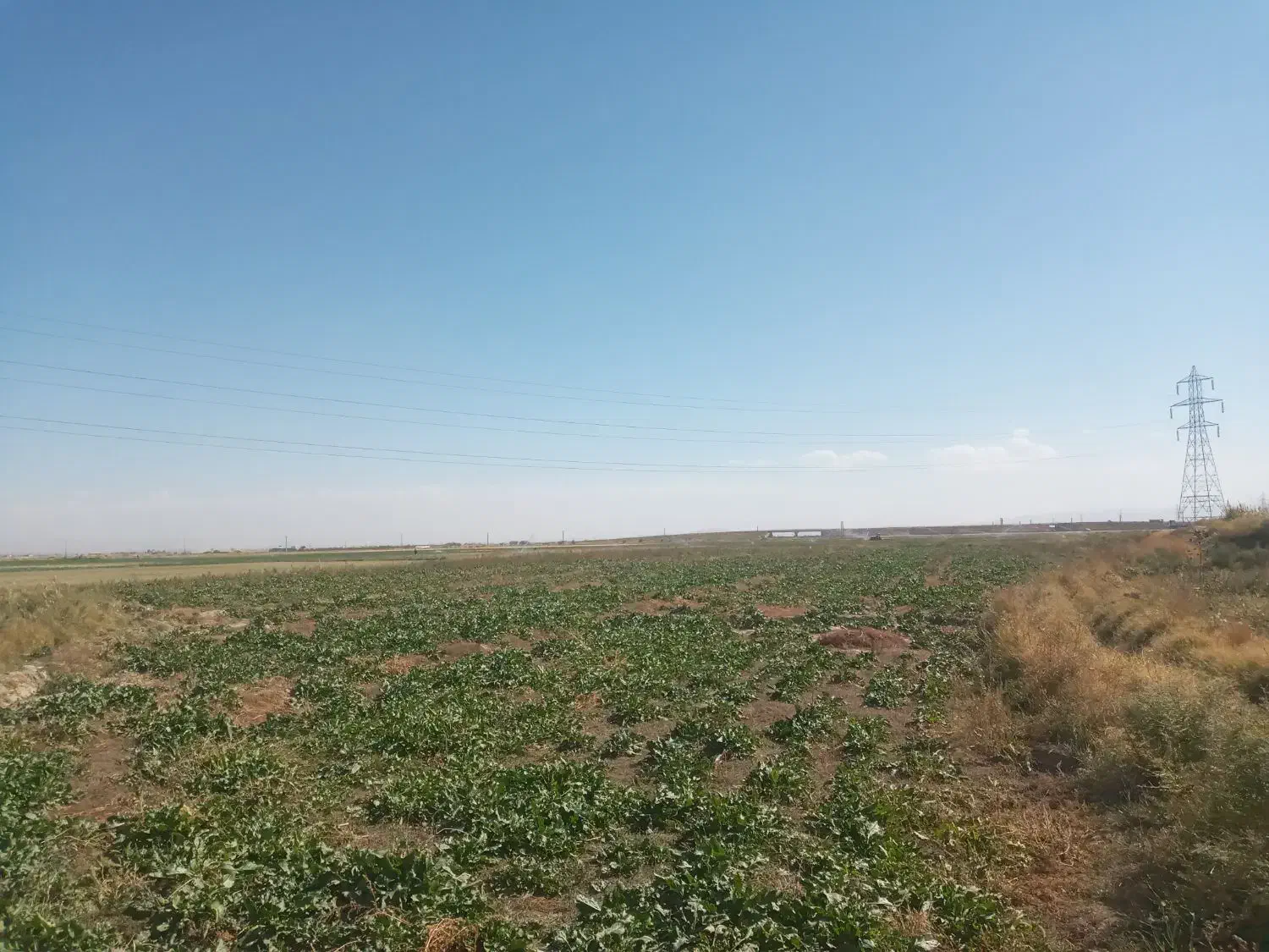اجاره زمین ابی کشاورزی همدان فامنین|اجارهٔ دفتر صنعتی، کشاورزی، تجاری|فامنین, |دیوار