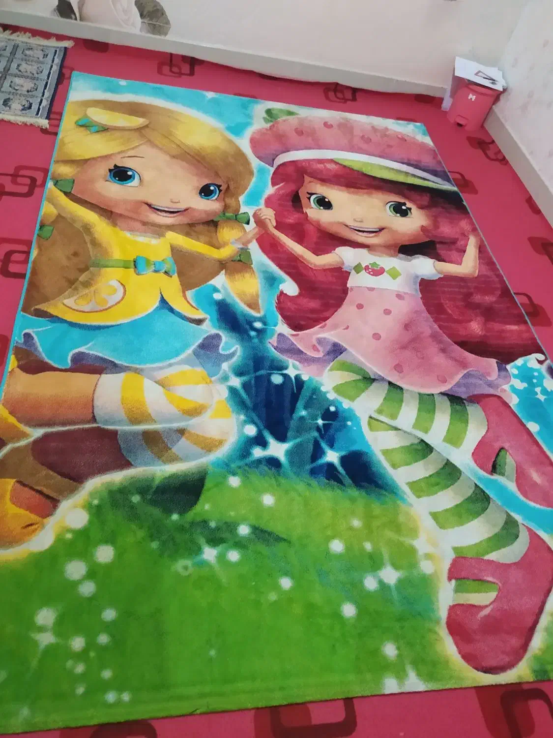 دو عدد فرش آشپزخانه و دخترانه، بازدید صحنه|فرش|صحنه, |دیوار