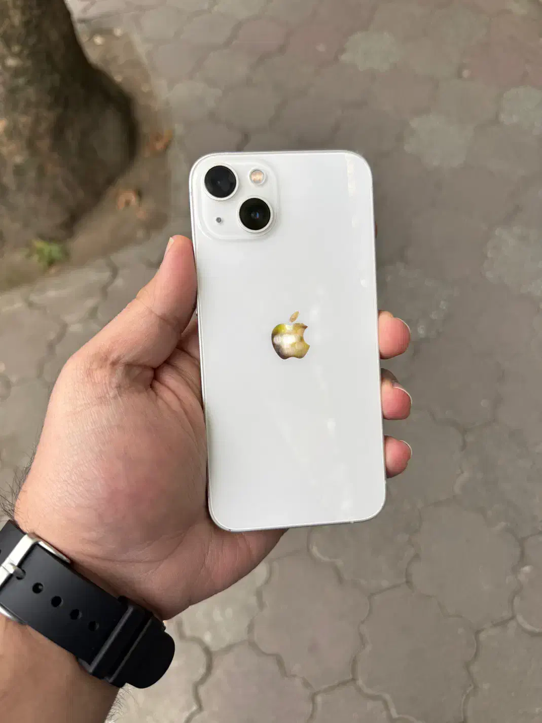 Iphone 13 128 ch|موبایل|رشت, یخسازی|دیوار