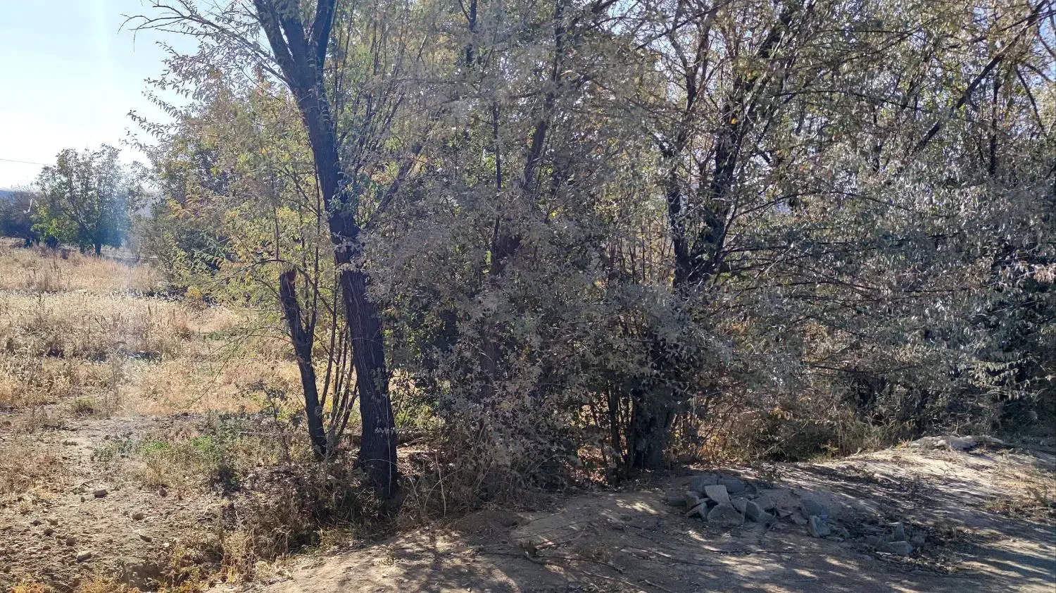 فروش یک قطعه زمین کشاورزی مناسب جهت احداث گلخانه|فروش زمین و ملک کلنگی|عسگران, |دیوار