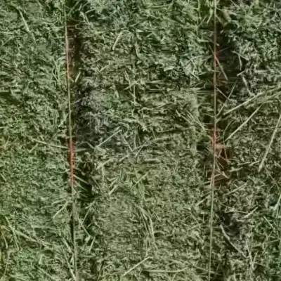 پرس یونجه چن چهارم خشک درجه 1|لوازم جانبی حیوانات|بروجرد, |دیوار