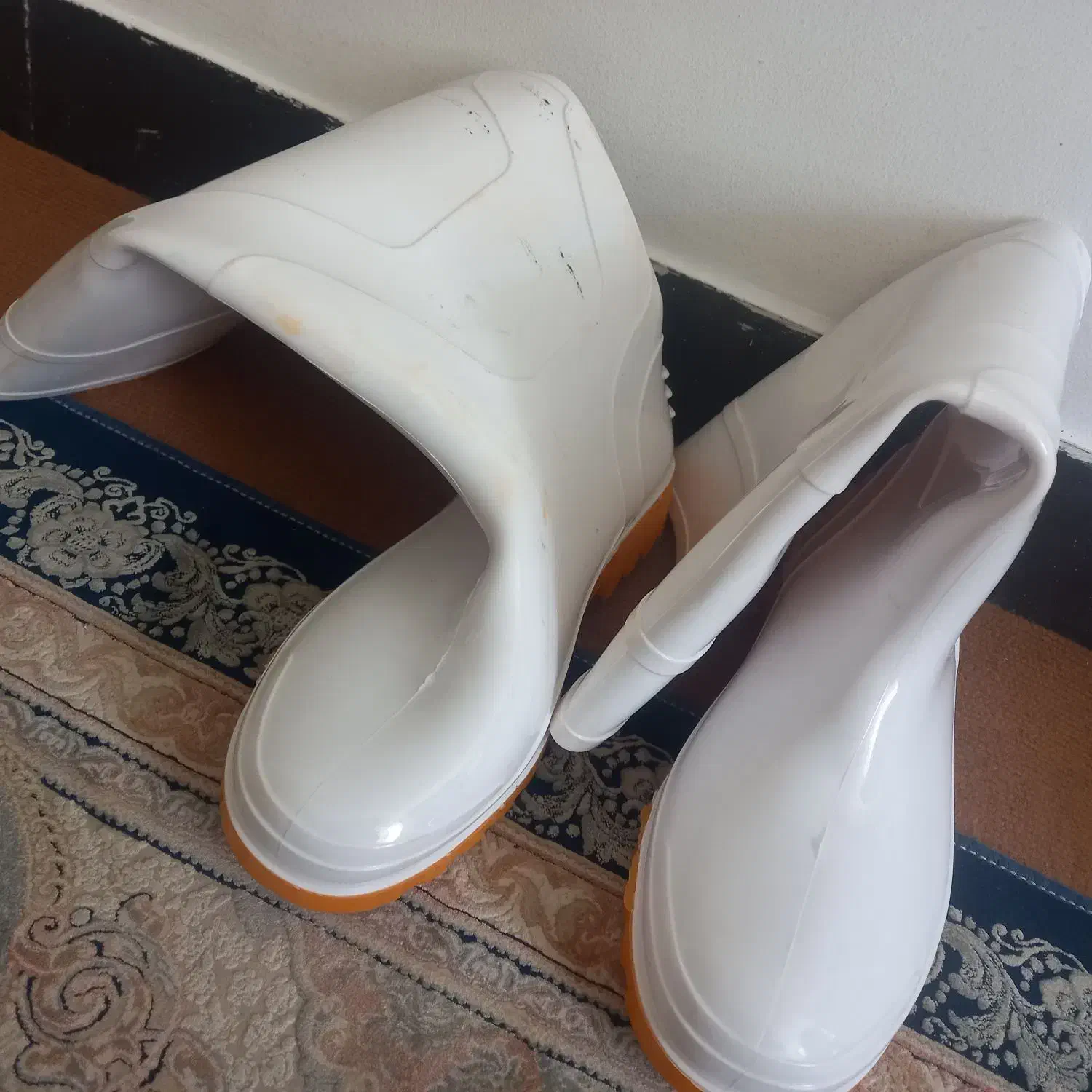 چکمه|کیف، کفش، کمربند|شهرکرد, |دیوار