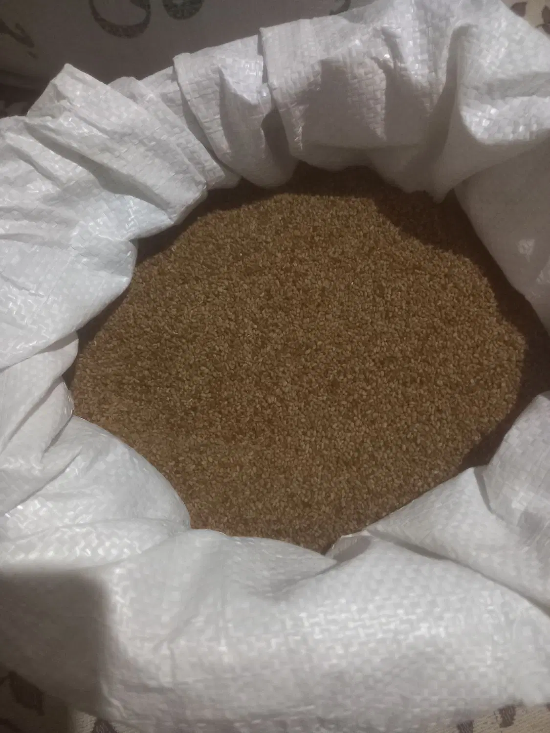 بزر یونجه|خدمات باغبانی و درختکاری|بیجار, |دیوار