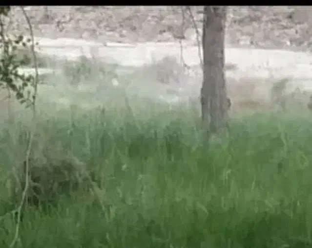 موتور آب کشاورزی|خدمات باغبانی و درختکاری|ایرانشهر, |دیوار