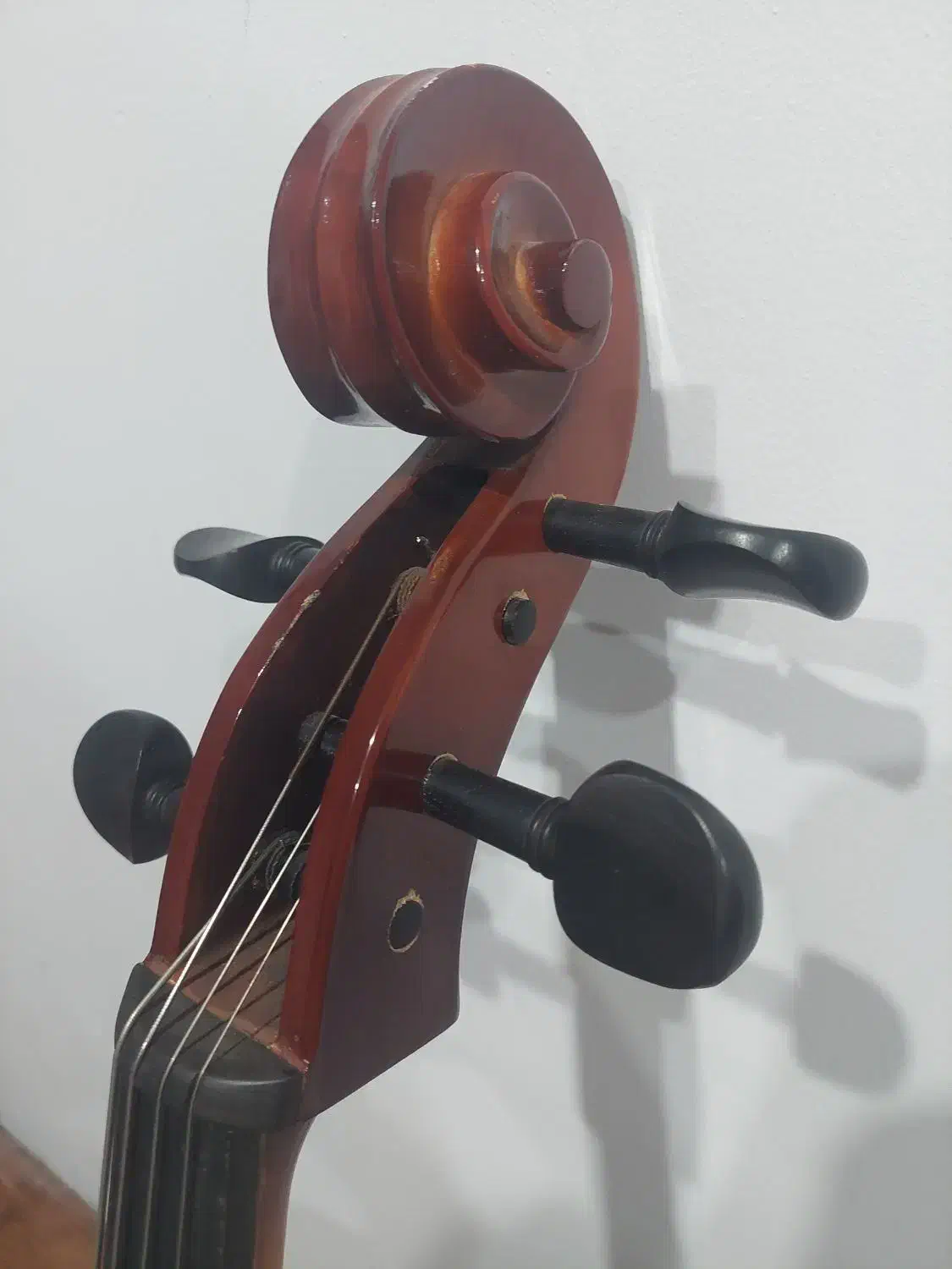 ویولنسل tf142|ویولن|تهران, قبا|دیوار