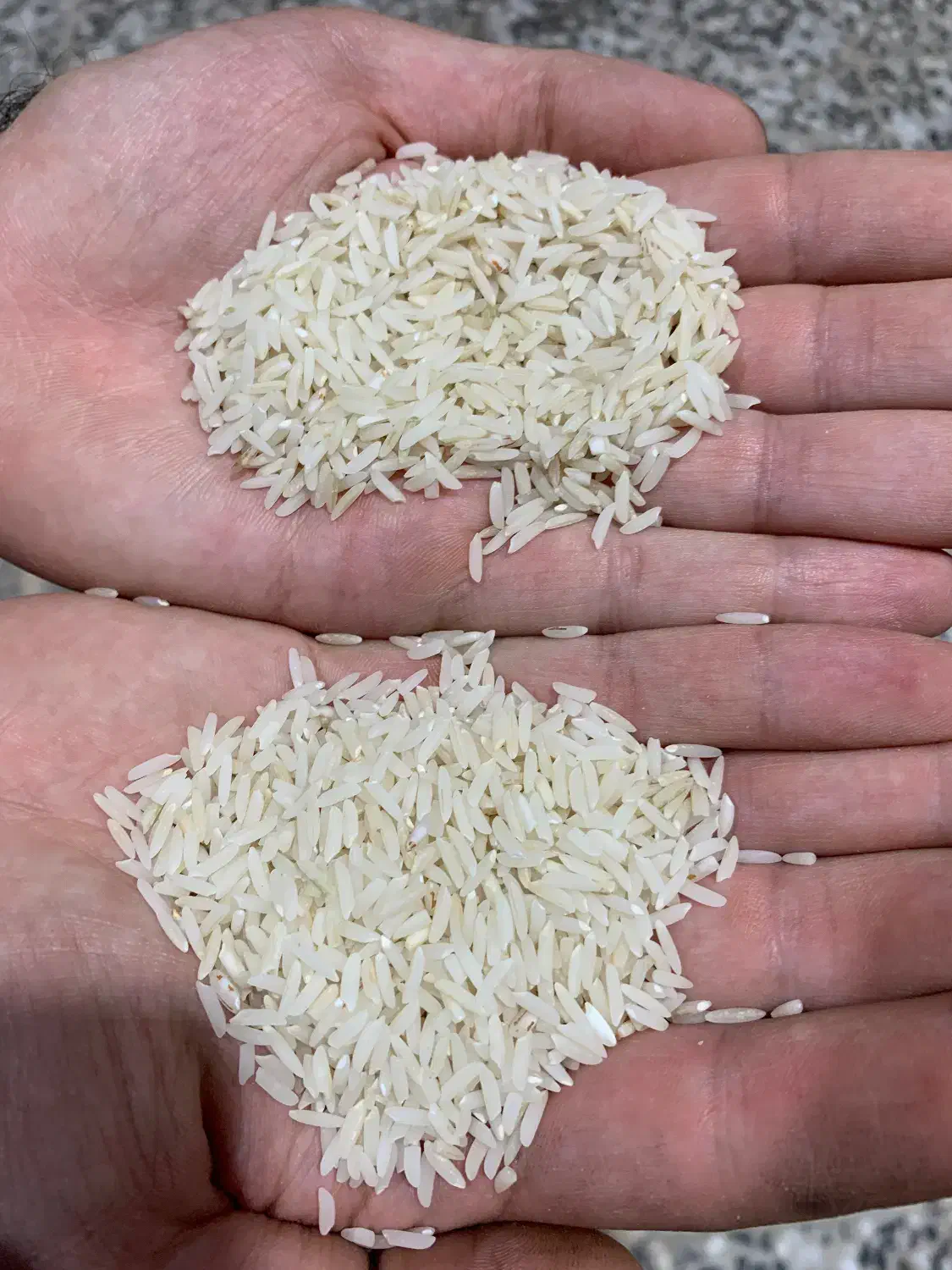 برنج هاشمی الموت تغذیه شده از چشمه اب معدنی وگل|خوردنی و آشامیدنی|قزوین, |دیوار