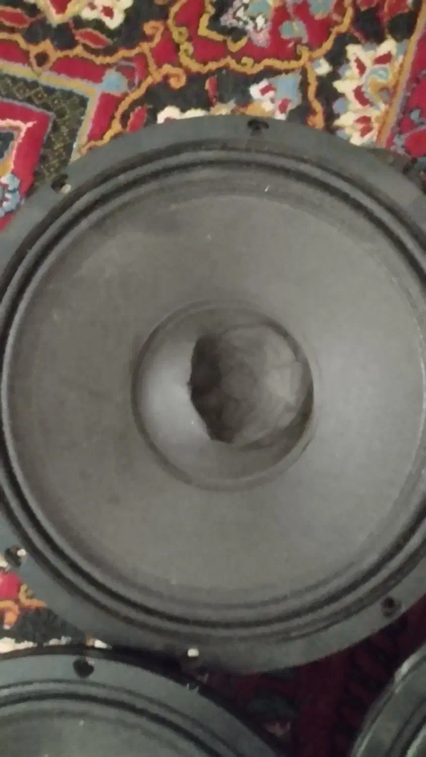 ساب ووفر دایناکورد|صوتی و تصویری|شیراز, کرونی(خاتونک)|دیوار