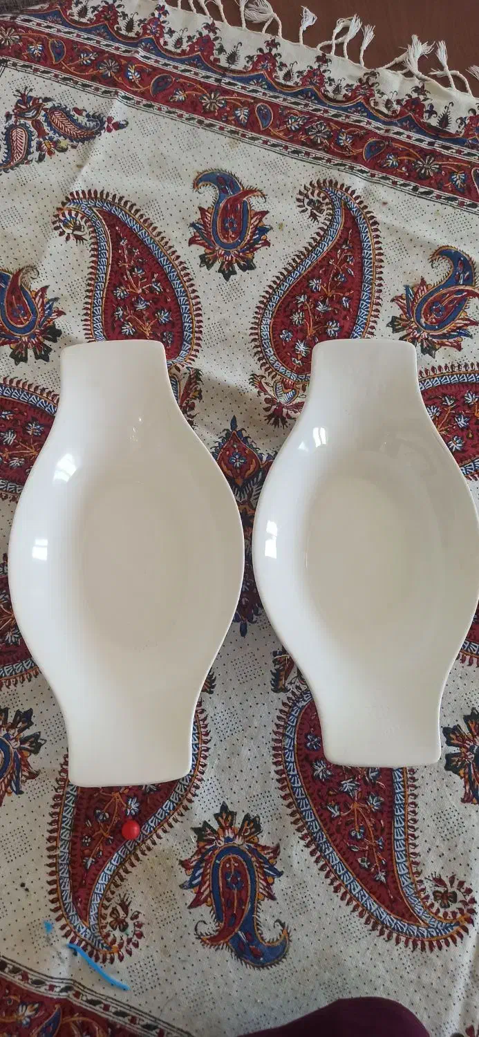 ظرف پذیرایی سرامیک|ظروف سرو و پذیرایی|شیراز, گلشن|دیوار