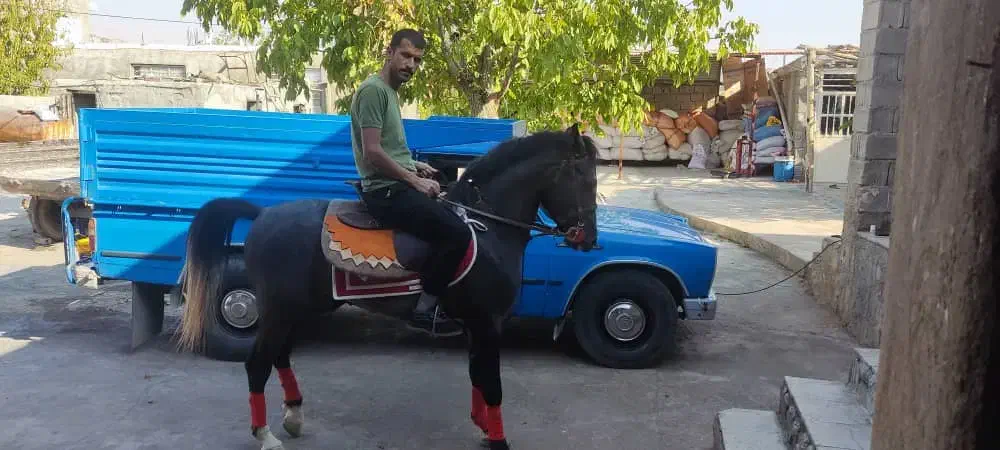 وانت نیسان دربستی ب تمام نقاط|خدمات حمل و نقل|یاسوج, |دیوار