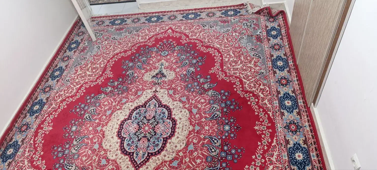 فرش|فرش|بندرعباس, |دیوار