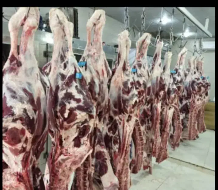 دنبه گوسفندی با جیگر گوسفندی بصورت عمده|خوردنی و آشامیدنی|اهواز, ۳۰ متری|دیوار