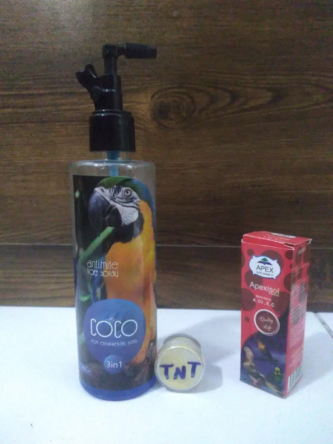 فنچ نر کینگ|پرنده|کرج, شاهین‌ویلا|دیوار