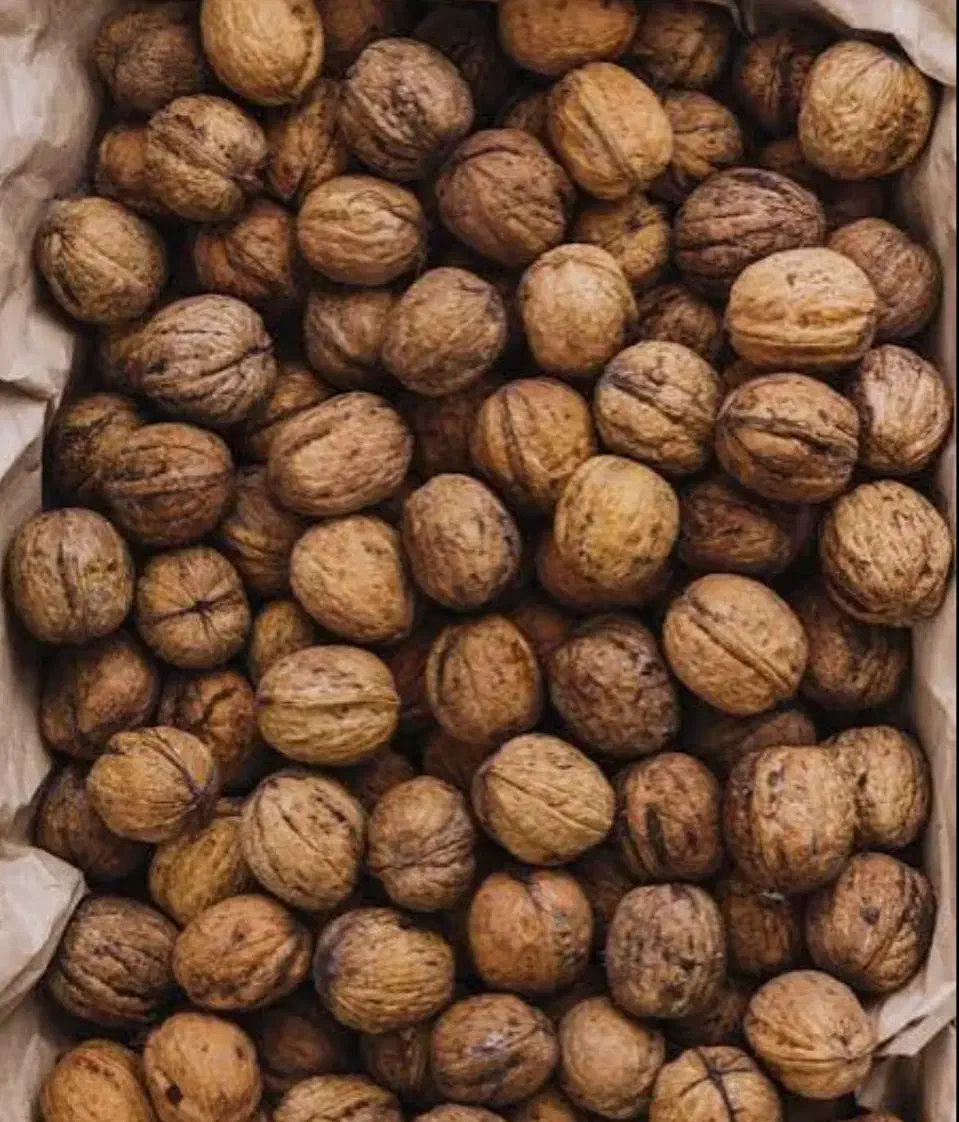 گردوی با پوست|حراج|نهاوند, |دیوار