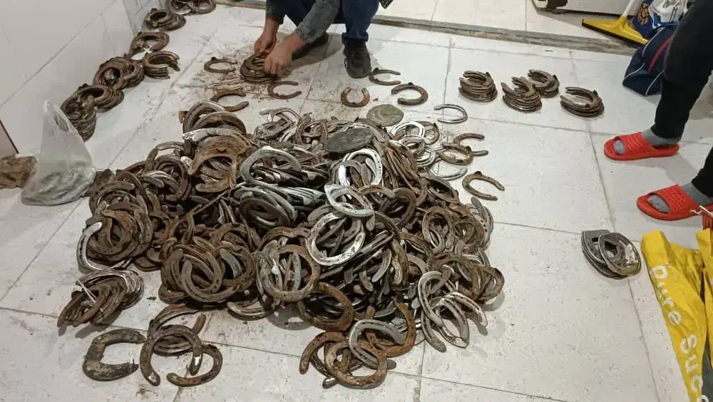 نعل اسب|اسب و تجهیزات اسب‌سواری|محمدشهر, محمدشهر|دیوار