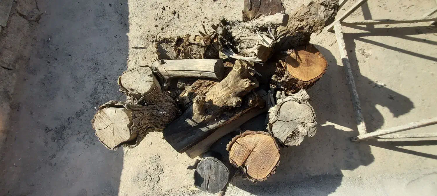 چوب درخت کنار خشک توافقی|گل و گیاه طبیعی|بهبهان, |دیوار