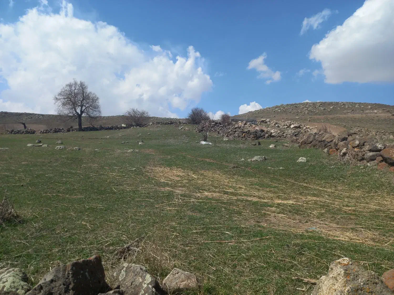 نظافتراهپله ساختمانانجاممیدم قیمتمناسب|خدمات نظافت|تهران, گمرک|دیوار