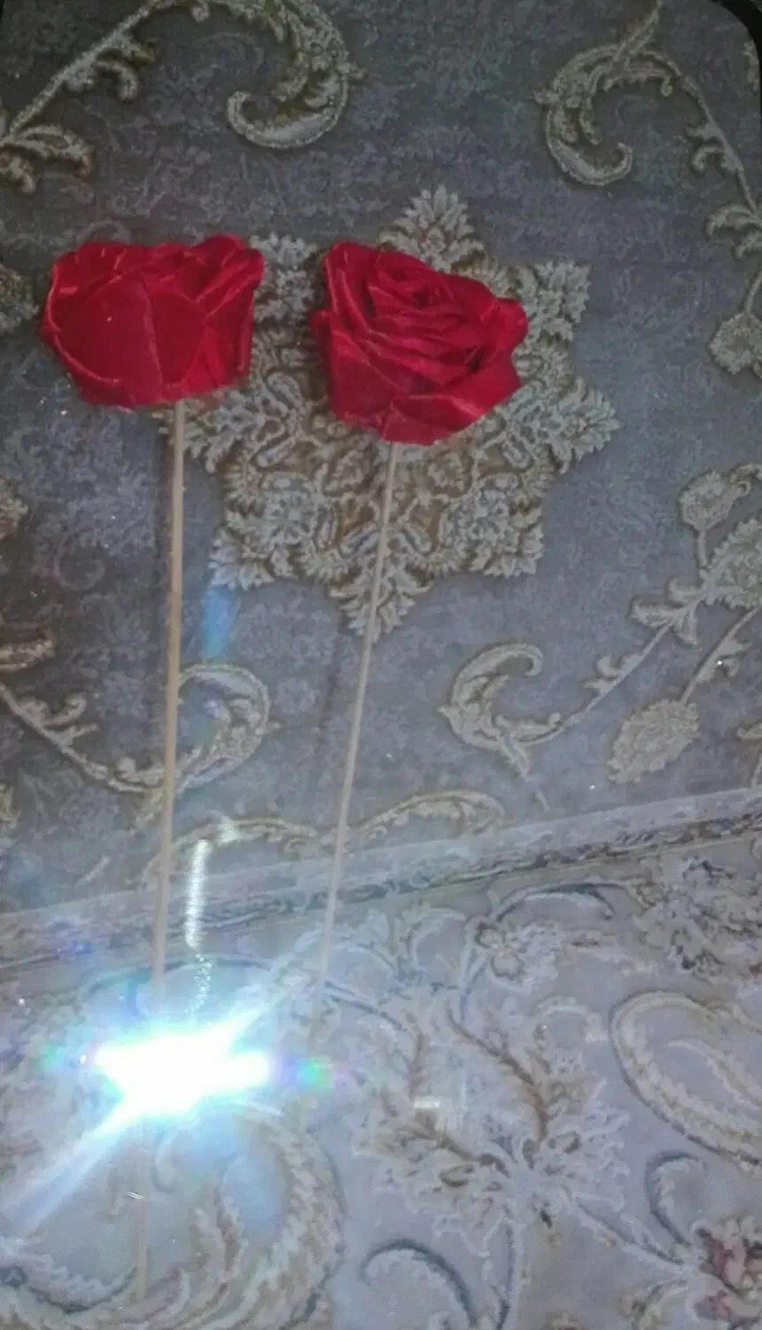 گل سرخ|گل و گیاه طبیعی|قم, قلعه کامکار|دیوار