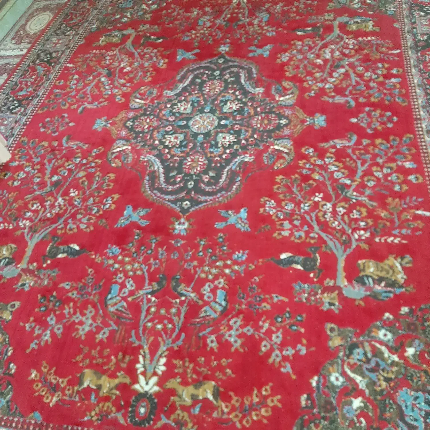 فرش ۱۲ متری سالم|فرش|بروجرد, |دیوار