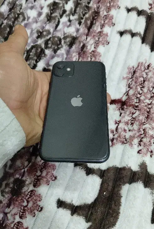 iphone 11|موبایل|شیراز, قدوسی شرقی|دیوار