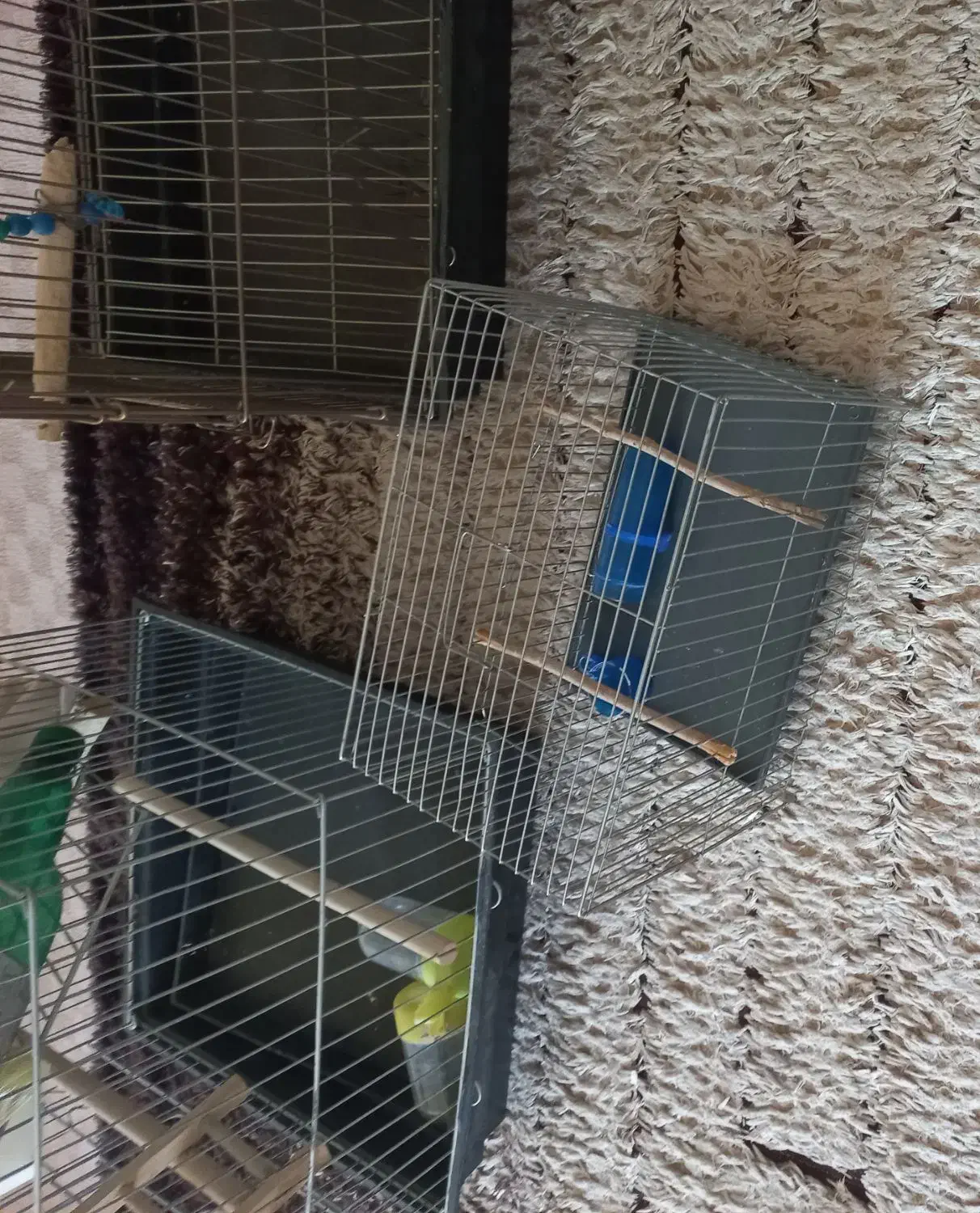 فروش قفسه پرنده|لوازم جانبی حیوانات|دره شهر, |دیوار