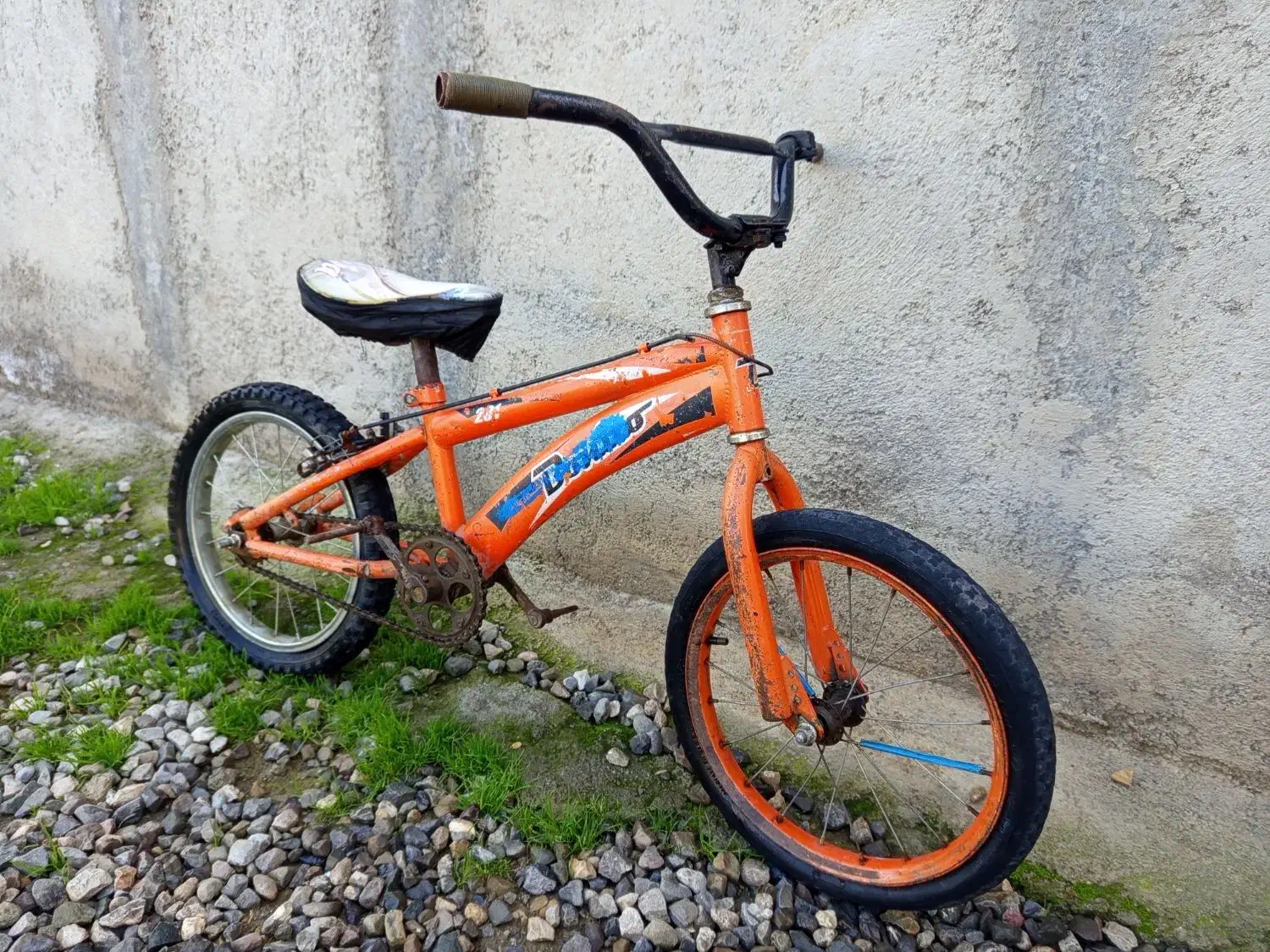 دوچرخه|دوچرخه، اسکیت، اسکوتر|گنبد کاووس, |دیوار