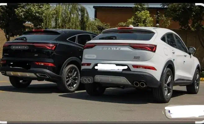 دیگنیتی پرایم مشکی/سفید مدل ۱۴۰۴/اقساط تحویل آنی|خودرو سواری و وانت|تهران, فردوس|دیوار