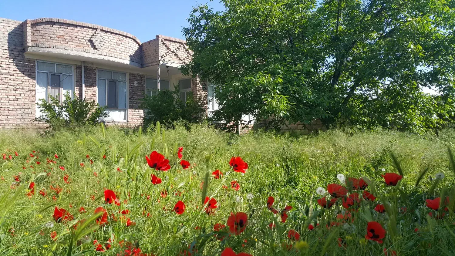 خانه ویلایی سه بر در شهرک سدارس|فروش خانه و ویلا|ارس, |دیوار