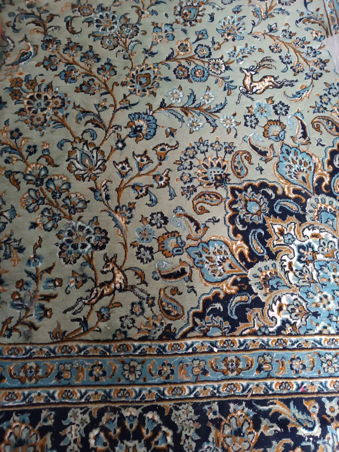 فرش 12متری|فرش|قائمشهر, |دیوار