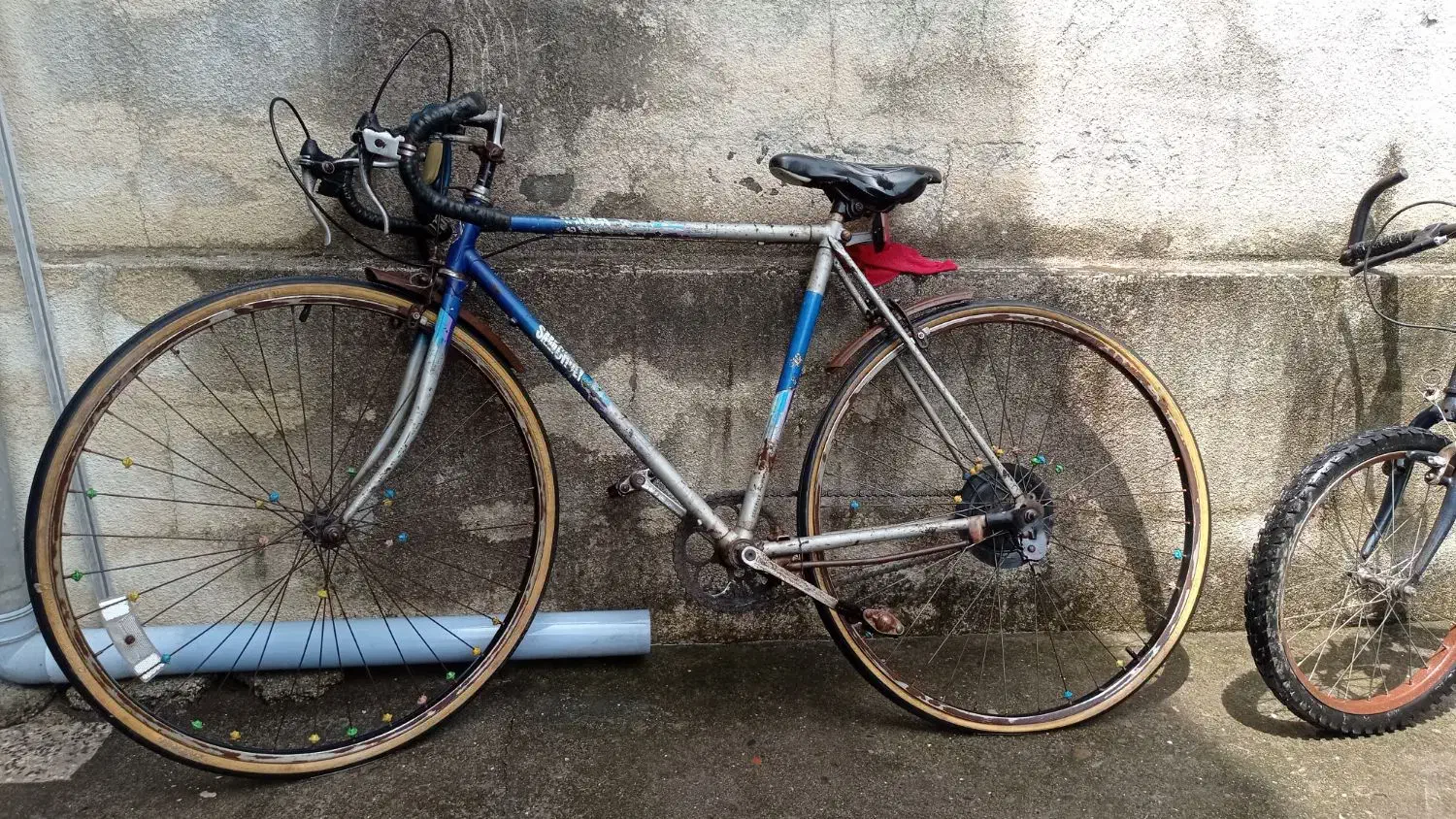 دوچرخه کورسی ۲۷|دوچرخه، اسکیت، اسکوتر|بندر انزلی, کوی بهار|دیوار