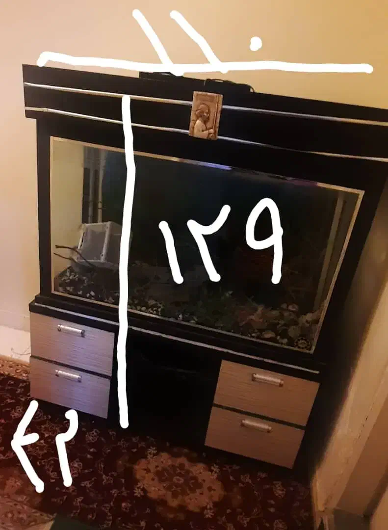 آکواریوم بزرگ|ماهی|تبریز, |دیوار