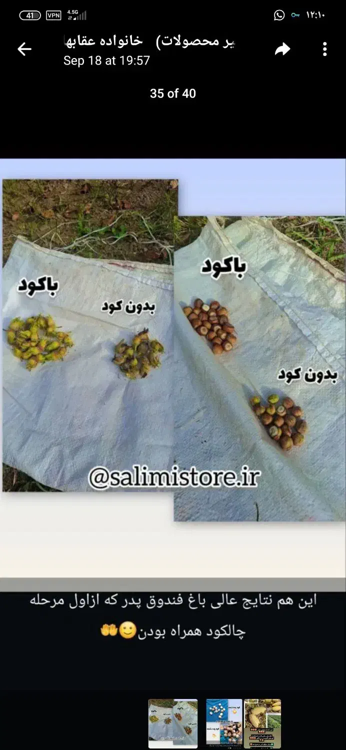 همکاری باغ داران محترم|خدمات باغبانی و درختکاری|شیراز, انجیره|دیوار