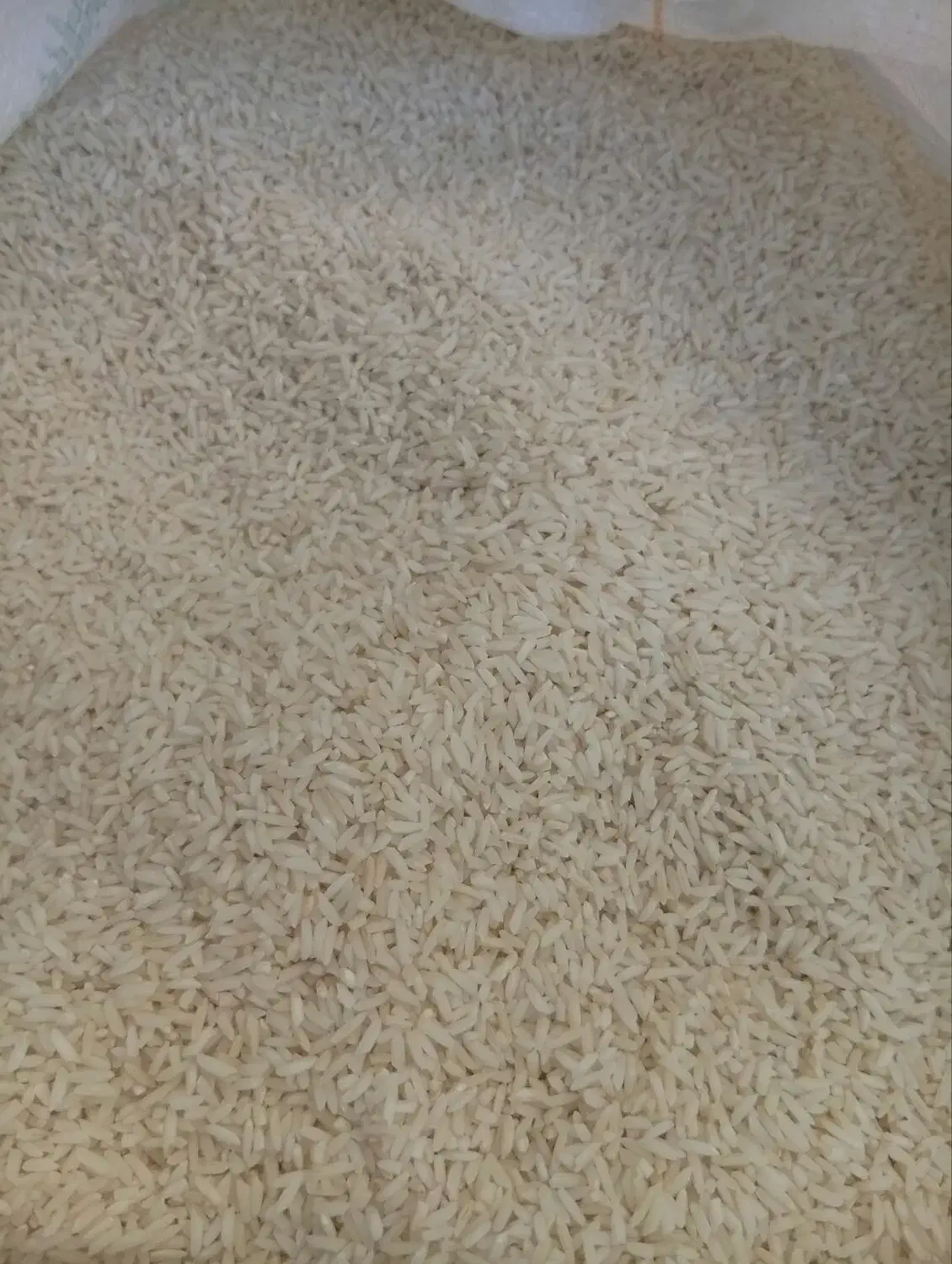 برنج هاشمی|خوردنی و آشامیدنی|چگنی, |دیوار