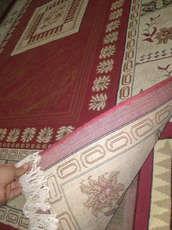 قالی شیش متری|فرش|اهواز, منبع اب|دیوار