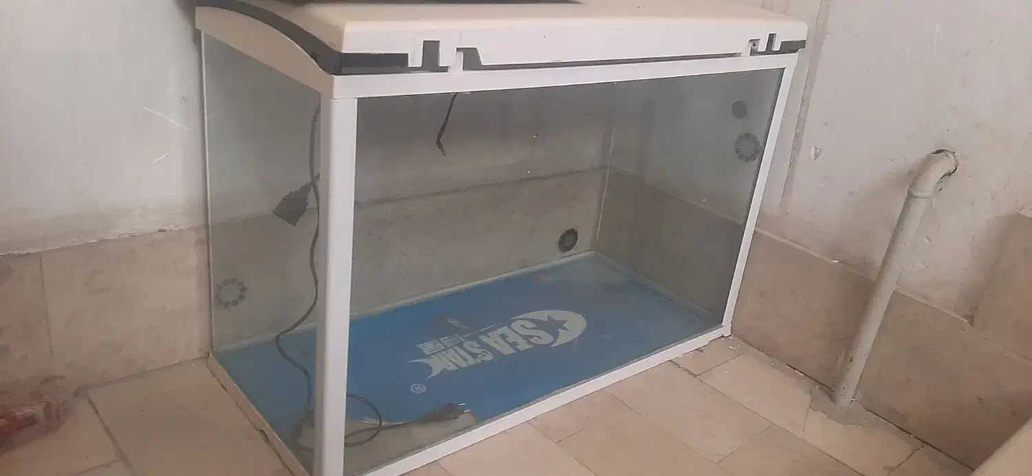 اکواریوم شیشه خم ضد ضربه نشکن|ماهی|تهران, وحیدیه|دیوار