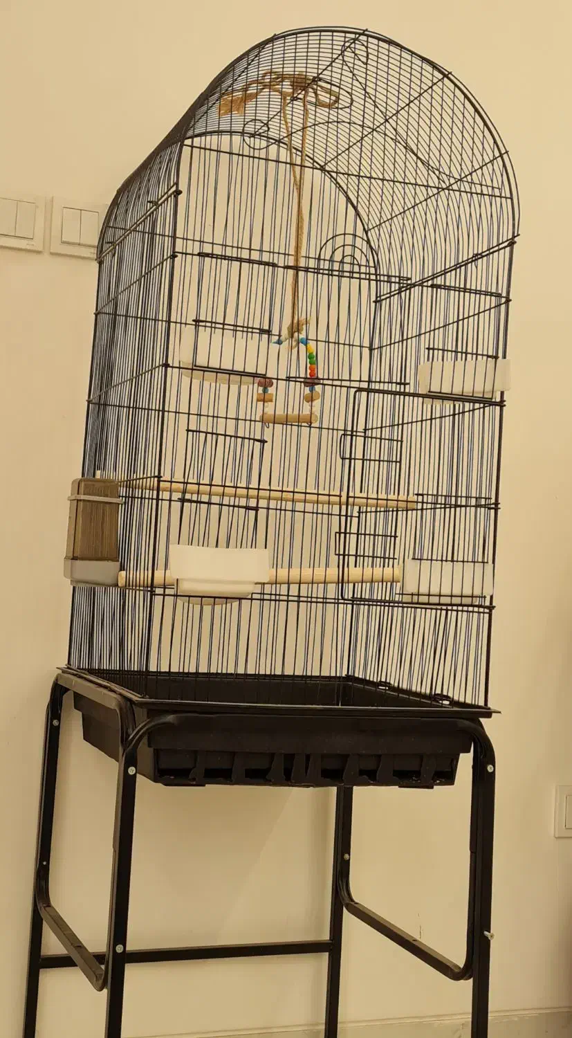 قفس بزرگ نو|لوازم جانبی حیوانات|یزد, |دیوار