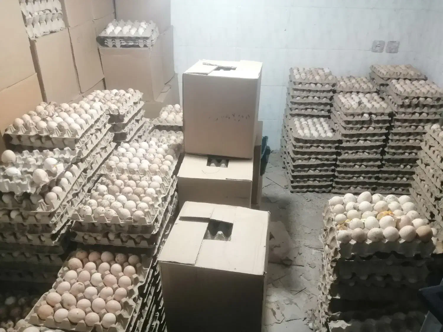 تخم مرغ محلی|خوردنی و آشامیدنی|ارومیه, |دیوار